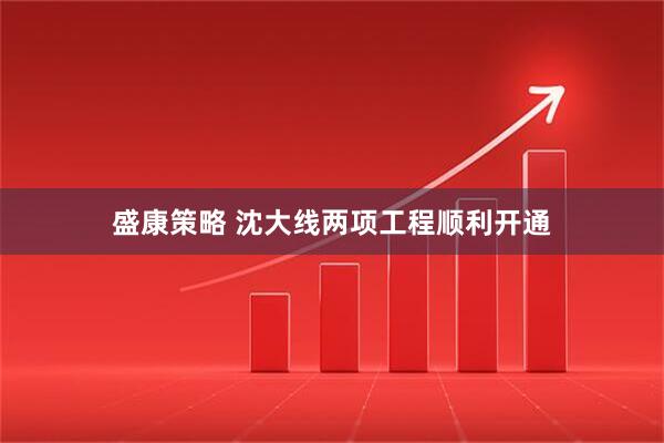 盛康策略 沈大线两项工程顺利开通