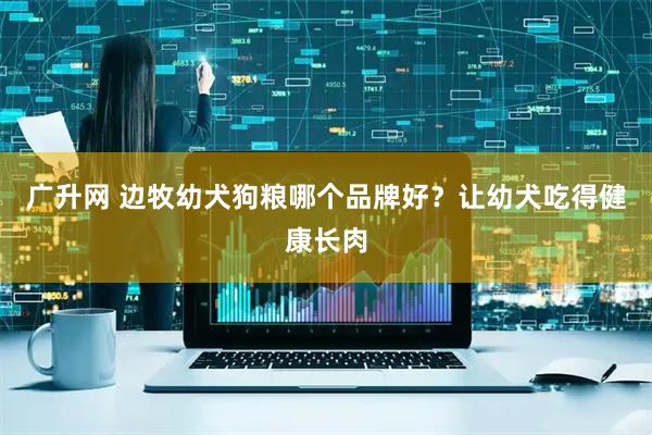 广升网 边牧幼犬狗粮哪个品牌好？让幼犬吃得健康长肉