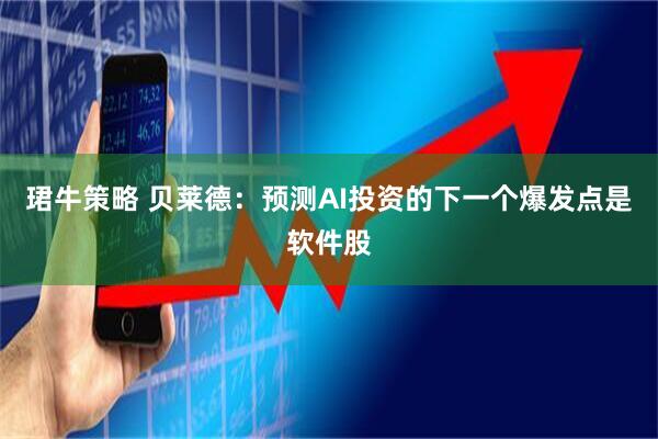 珺牛策略 贝莱德：预测AI投资的下一个爆发点是软件股