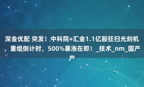 深金优配 突发!中科院+汇金1.1亿股狂扫光刻机,重组倒计时,500%暴涨在即!_技术_nm_国产