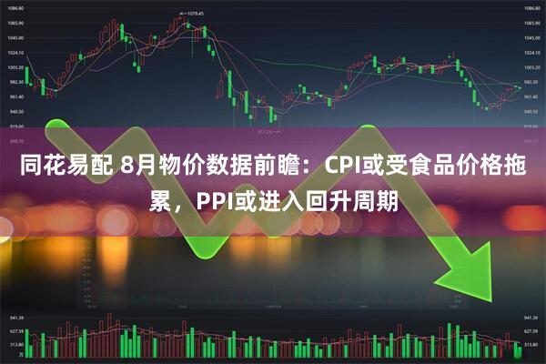 同花易配 8月物价数据前瞻：CPI或受食品价格拖累，PPI或进入回升周期